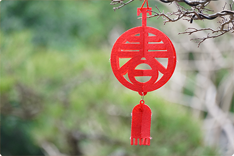 祝您春節(jié)快樂(lè)，萬(wàn)事如意，闔家歡樂(lè)！